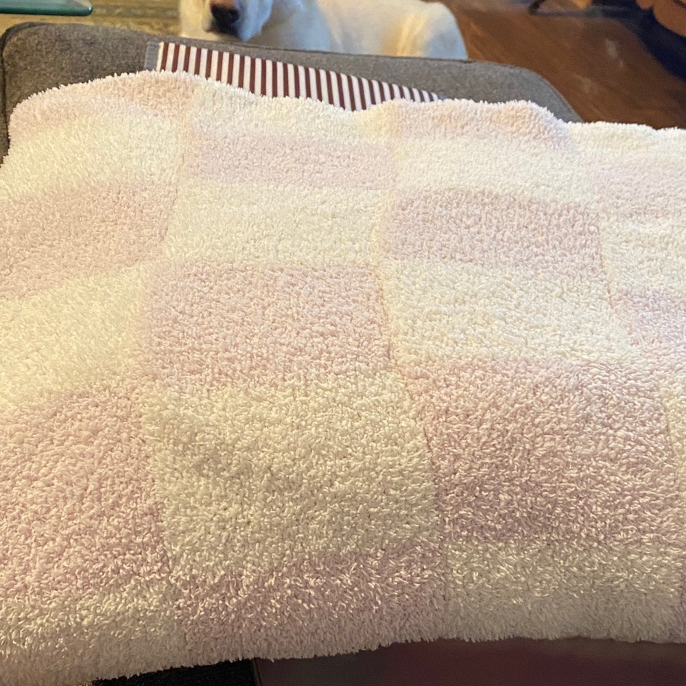 Chick Pea Pink and White Checkered Baby blanket